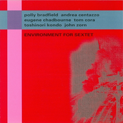 polly bradfield, andrea centazzo, eugene chadbourne, tom cora, toshinori kondo & john zorn