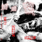 Hollow