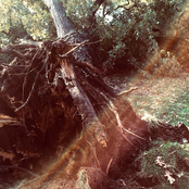 Sparks Unknot the Flesh