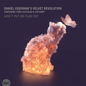 Won't Put No Flag Out