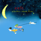 Elizabeth On The Bathroom Floor by Eels