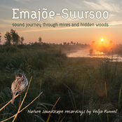 Emajõe-Suursoo