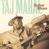 The Taj Mahal Trio: Señor Blues