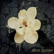 Delta Revelry: Delta revelry