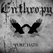 enthropy