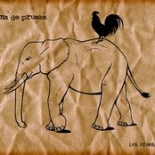 pluma de prueba