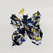 Whatever You See, Look Again