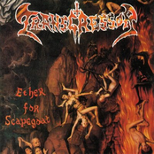 Morbid Curses by Transgressor