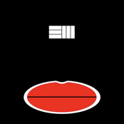 Monkey With a Camera