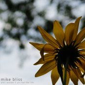 and i wonder if you feel like i do