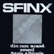 Din Nou Acasă by Sfinx