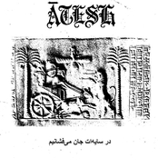 در سایه ات جان می فشانیم