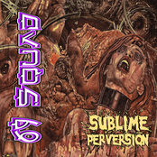 Sublime Perversion
