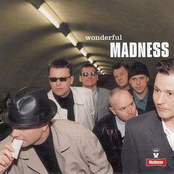 The Wizard by Madness