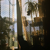 slow, soft and certain