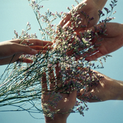 Blue Fantasia (Cover)