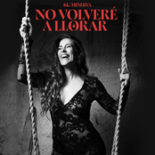 No Volveré A Llorar