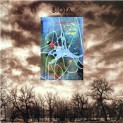 Clock Of Keys by Biota