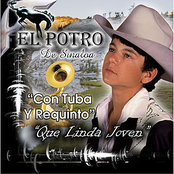 Que Linda Joven by El Potro De Sinaloa