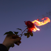 Fantasy (feat. DEREK DALI)