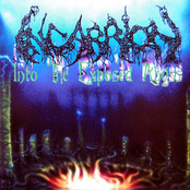 Into the Exposed Abyss