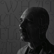 WHAT KIND OF FLOWER ARE YOU? (Deluxe Version)