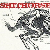 Shithorse