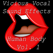 Vicious Vocal Sound Effects 1 - Human Body Vol. 1
