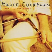Burden Of The Angel/Beast