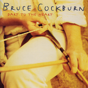 All The Ways I Want You by Bruce Cockburn