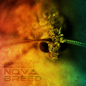 Nova Breed