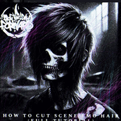 How to Cut Scene / Emo Hair (Full Tutorial)