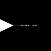 Plan Black V Dog