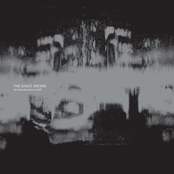 The Ghost Orchid: An Introduction To EVP