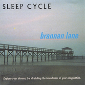 Delta Waves by Brannan Lane