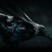 Phantoms
