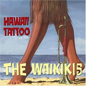 the waikiki beach boys