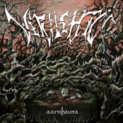Aarnihauta