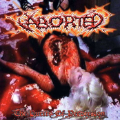 Aborted: The Purity Of Perversion