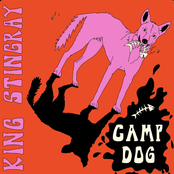 Camp Dog - Single