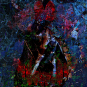 quartet[fight/flight/freeze/fawn]