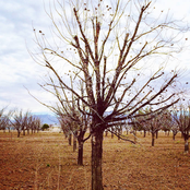 Why Bother Stacking the Chairs On A Sinking Ship?