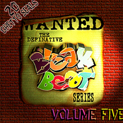 The Definitive Break Beat Series: Volume 5 - 20 Ghetto Seals
