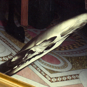 Anamorphosis