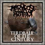 Terdball Of the Century