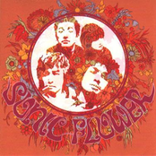 Heavy Sonic and Flower Groove