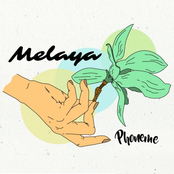 Melaya - Single