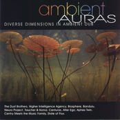 Ambient Auras: Diverse Dimensions In Ambient Dub