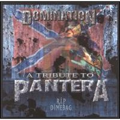 A Tribute to Pantera