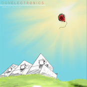 DQN ELECTRONICS VOL 2010